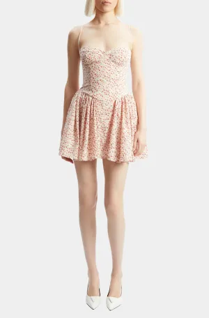 Estie Embroidered Mini Dress