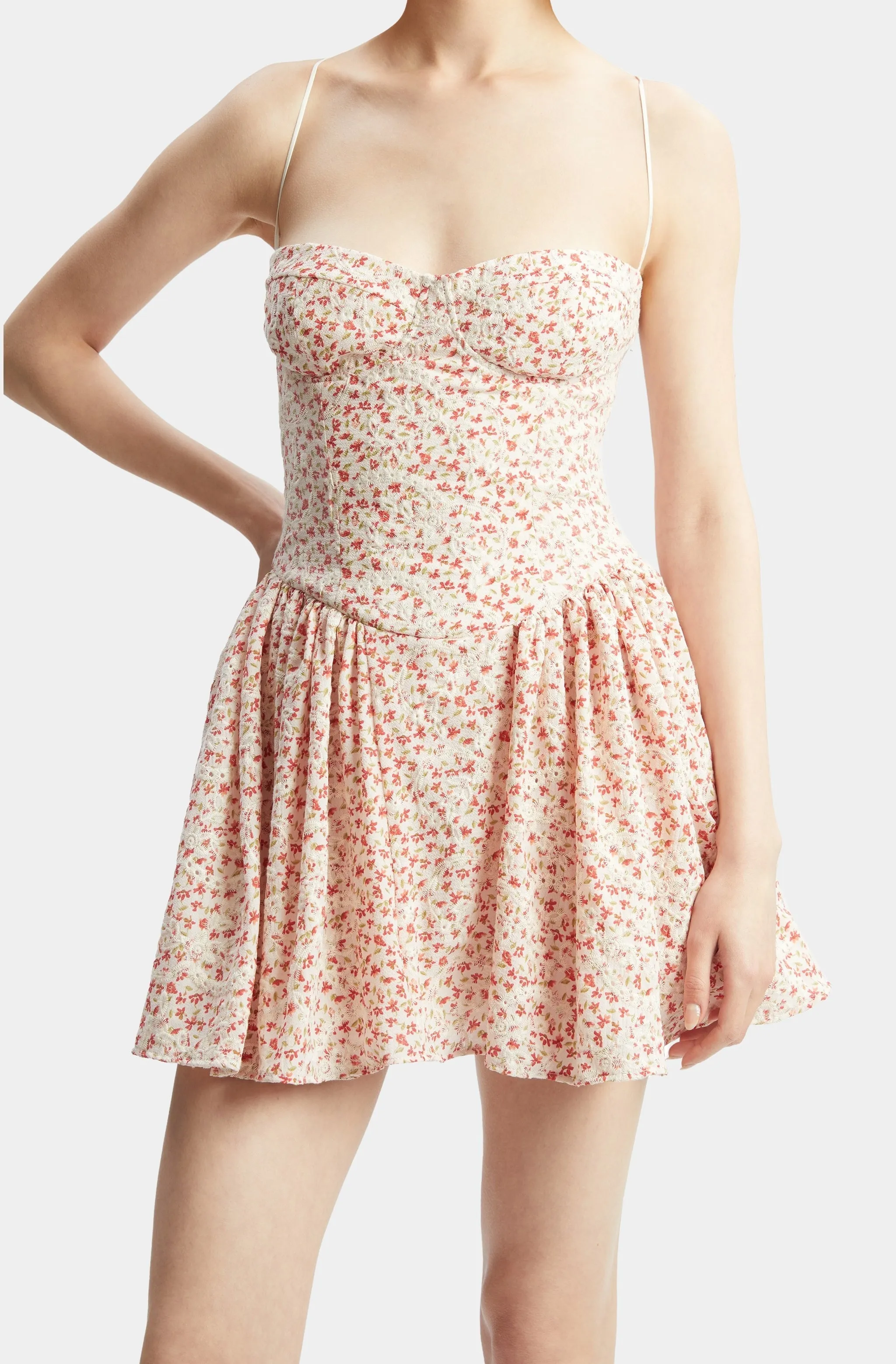 Estie Embroidered Mini Dress