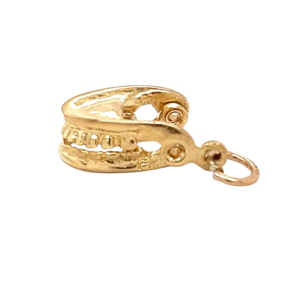 False Teeth Charm