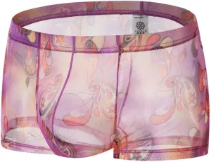 Men's Underwear Covered Waistband Boxer Briefs See Through Support Pouch Panties Comfortable Soft Regular Fit Underwear Trunk