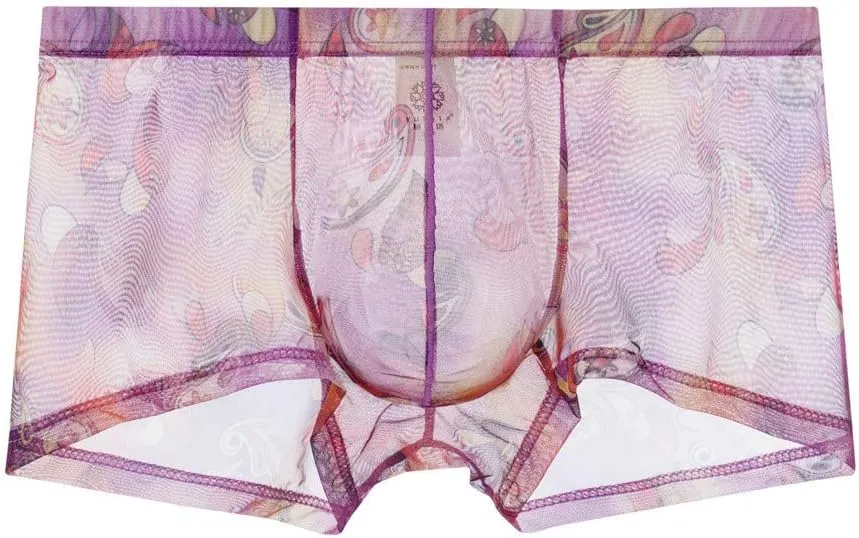 Men's Underwear Covered Waistband Boxer Briefs See Through Support Pouch Panties Comfortable Soft Regular Fit Underwear Trunk