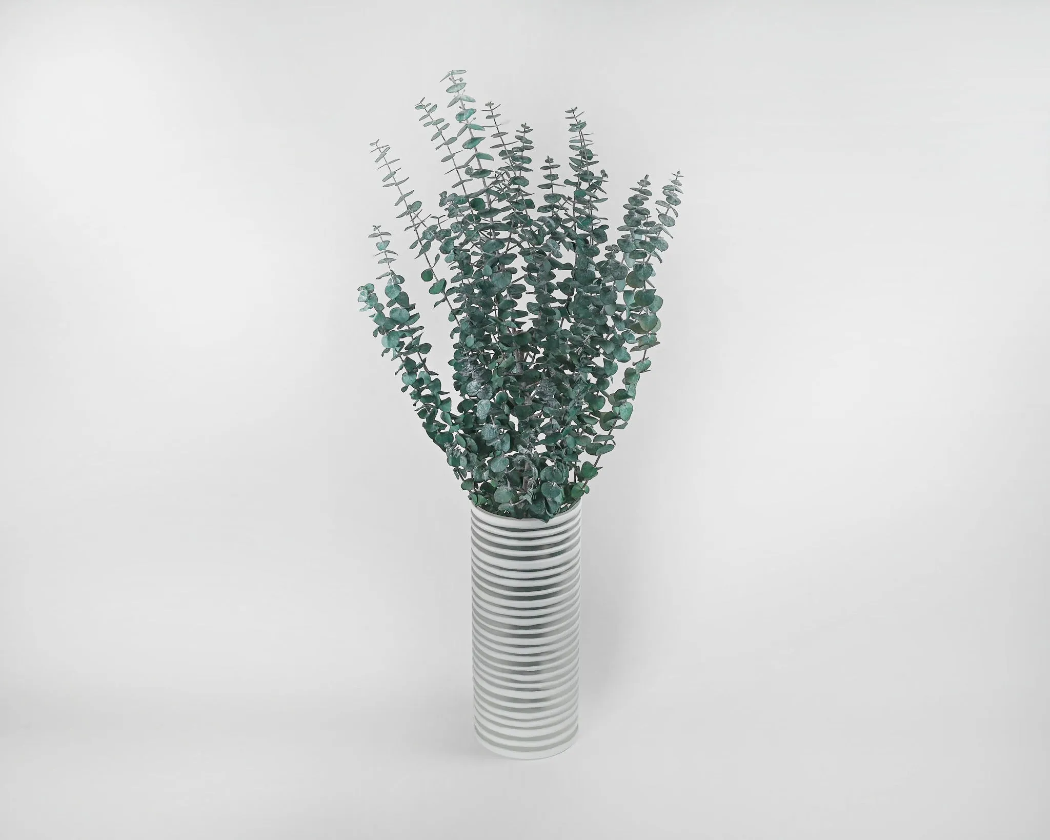 Preserved Eucalyptus Branches for sale - Green 8oz bunch