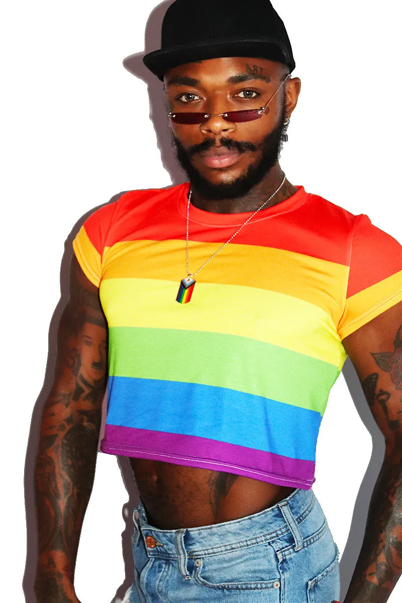 Rainbow Stripe All Over Fitted Crop Tee- Multi