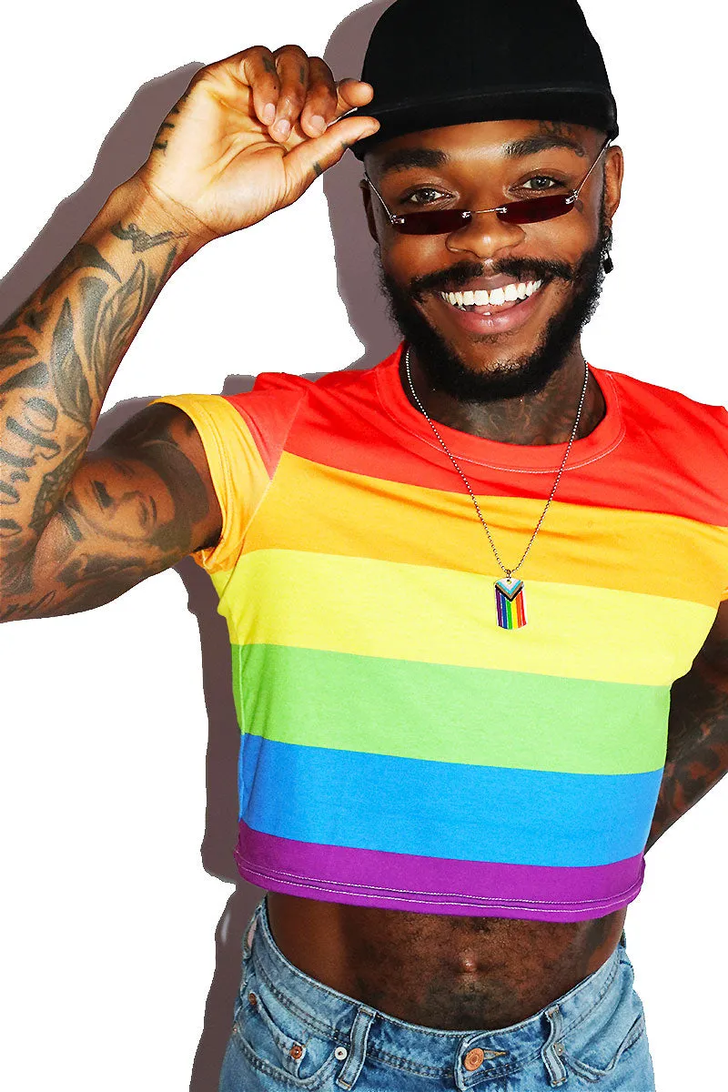 Rainbow Stripe All Over Fitted Crop Tee- Multi