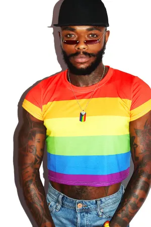 Rainbow Stripe All Over Fitted Crop Tee- Multi