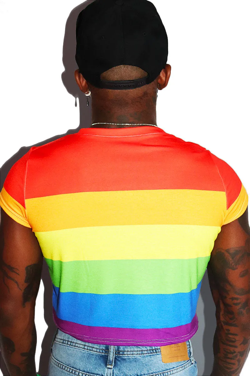 Rainbow Stripe All Over Fitted Crop Tee- Multi