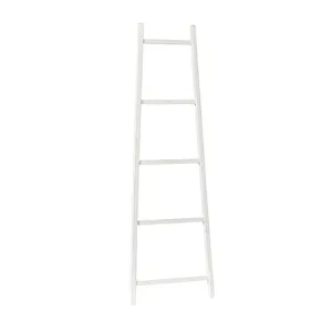 Raz Imports Boxwood 6' White Ladder