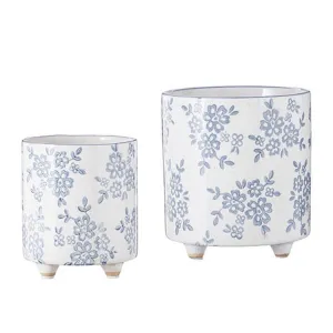 Raz Imports Boxwood 7.75" Blue Floral Transferware Pot, Set of 2
