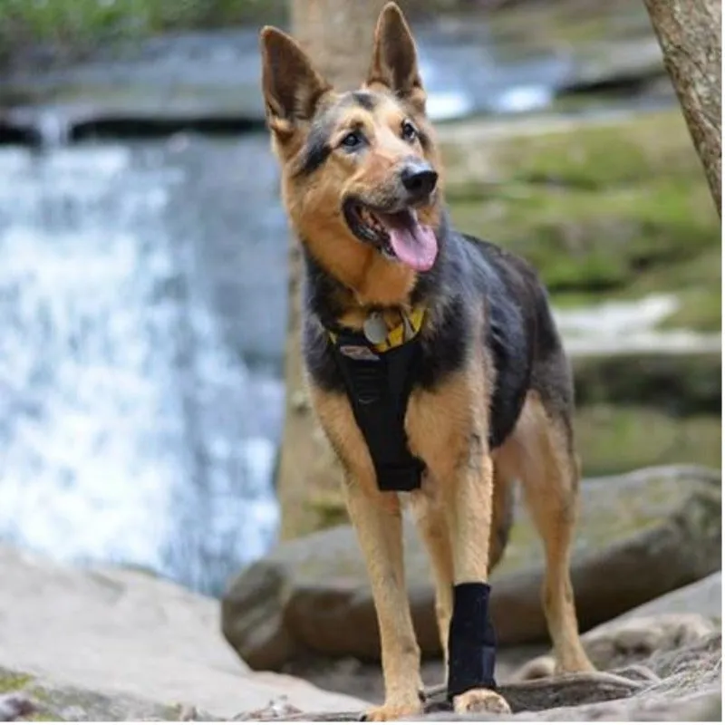 Walkabout, Carpal Support Brace