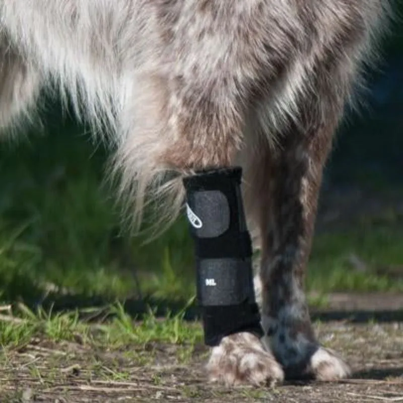 Walkabout, Carpal Support Brace